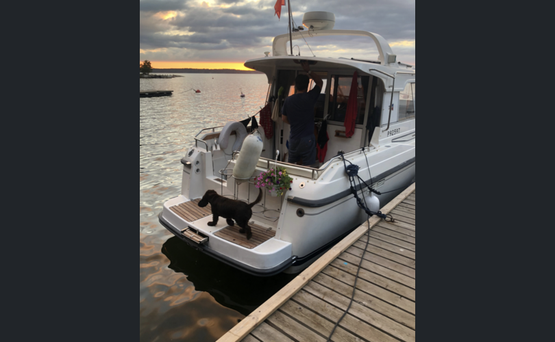 Nimbus Muu malli-kuva-4